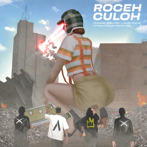 Noizekid, Alu Mix, Audio Kartel, N Fasis - Roceh Culoh (Mayler MashVIP)封面